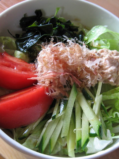 夏の★サラダうどん-レシピのメイン写真