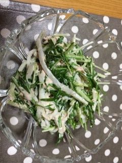 水菜で簡単サラダ-レシピのメイン写真