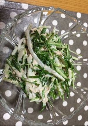 水菜で簡単サラダ-レシピのメイン写真