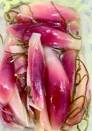 茗荷（ミョウガ）の甘酢漬け昆布入）-レシピのメイン写真