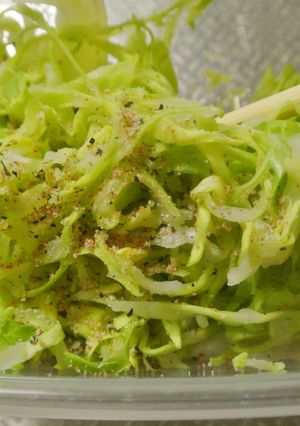 安心美味しいお弁当用キャベツのせん切り-レシピのメイン写真