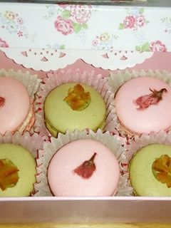 きらり!!桜と抹茶のマカロン-レシピのメイン写真