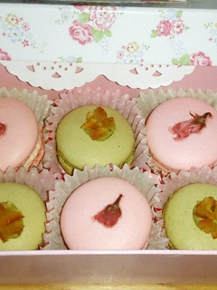 きらり!!桜と抹茶のマカロン-レシピのメイン写真