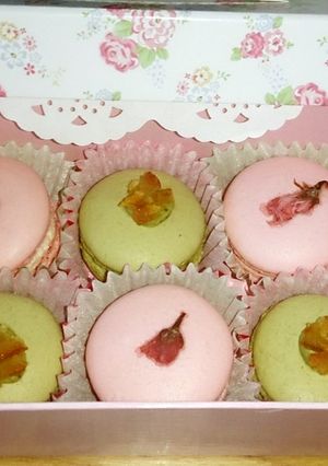 きらり!!桜と抹茶のマカロン-レシピのメイン写真