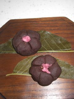 こし餡で黒色練りきり-レシピのメイン写真