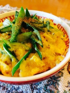 ふわっふわっ1人でニッコリおから丼-レシピのメイン写真