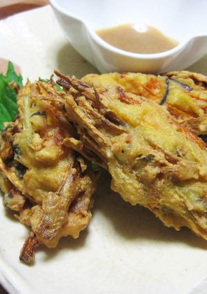 豆腐とごぼうの落とし揚げ-レシピのメイン写真