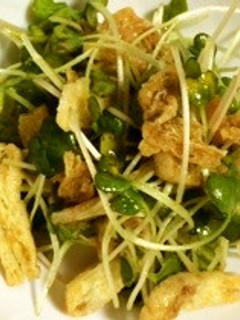 ☆簡単節約☆うすあげとかいわれのサラダ☆-レシピのメイン写真