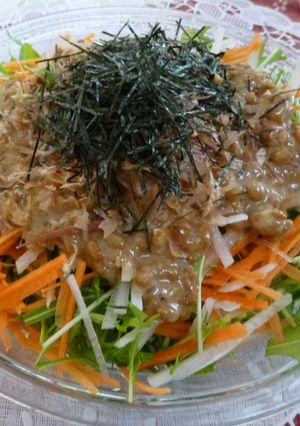 野菜モリモリ納豆サラダ-レシピのメイン写真