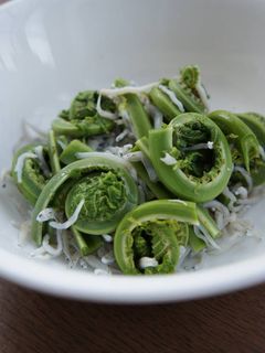 こごみとしらす干しの和え物-レシピのメイン写真