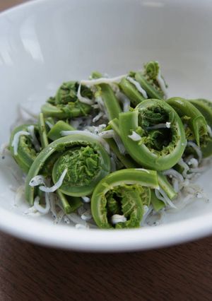 こごみとしらす干しの和え物-レシピのメイン写真
