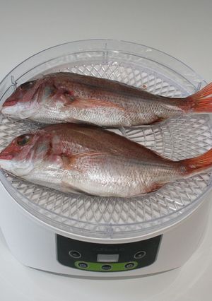 簡単☆すぐできる食品乾燥機で鯛の干物作り-レシピのメイン写真