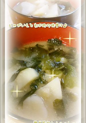 定番！じゃがいもとわかめの味噌汁♪-レシピのメイン写真