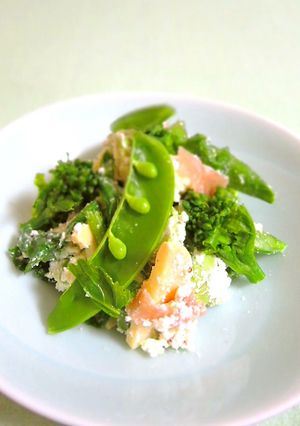 春野菜とアボカドのカッテージチーズサラダ-レシピのメイン写真