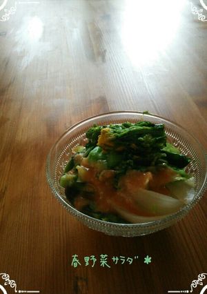 ＊春野菜ｻﾗﾀﾞ＊-レシピのメイン写真