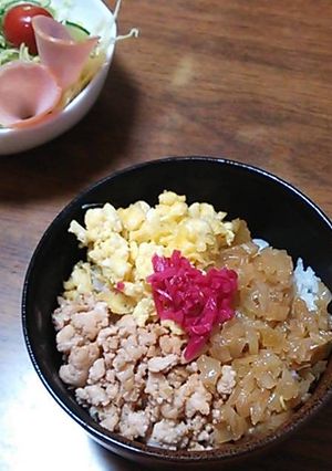 鳥挽き肉と玉ねぎの三種甘辛丼♪-レシピのメイン写真