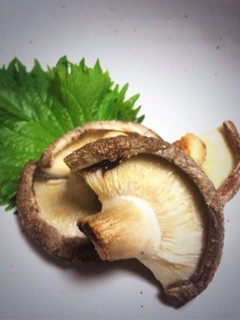 グリルで簡単☆シンプルな椎茸焼き-レシピのメイン写真