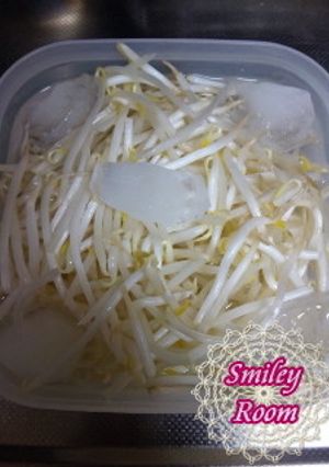 もやし長持ち-レシピのメイン写真
