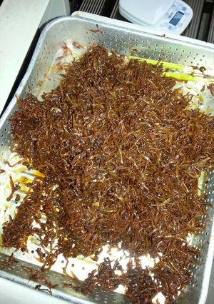 いかなごの釘煮-レシピのメイン写真