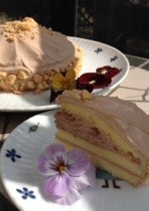 【教えたくない】ガーナチョコ生ケーキ-レシピのメイン写真