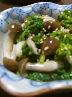 ☆菜の花としめじの☆ごま油たれ風味和え☆-レシピのメイン写真