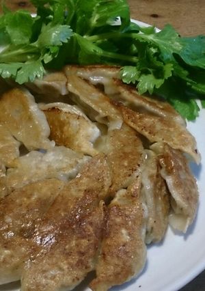 セロリ餃子-レシピのメイン写真