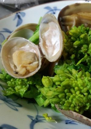 菜の花とあさりの酒蒸し-レシピのメイン写真