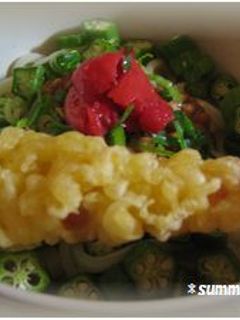 ねばねば!さっぱり!ぶっかけうどん☆-レシピのメイン写真