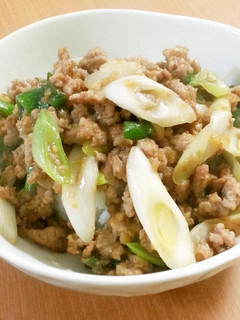 長ネギ大好き!肉味噌丼☆-レシピのメイン写真