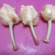 手羽先でチューリップの作り方♡