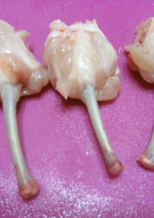 手羽先でチューリップの作り方♡-レシピのメイン写真