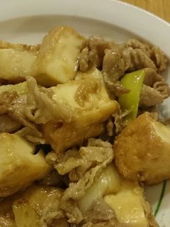 ★厚揚げ*豚肉*長ネギで簡単炒め★-レシピのメイン写真