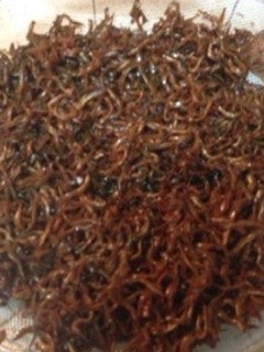 調理師の母直伝!いかなごのくぎ煮-レシピのメイン写真