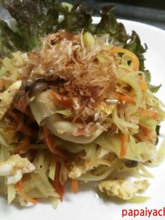 初めての青パパイヤチャンプル−-レシピのメイン写真