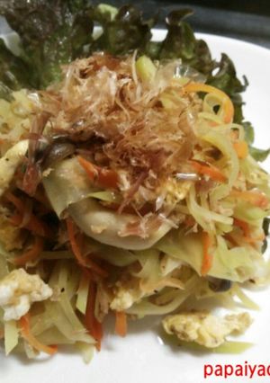 初めての青パパイヤチャンプル−-レシピのメイン写真