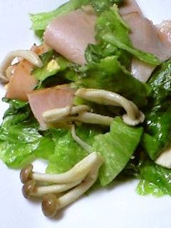 春レタスのシャキシャキ炒め-レシピのメイン写真