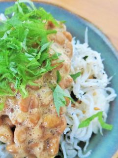 栄養満点!簡単!納豆しらす丼-レシピのメイン写真