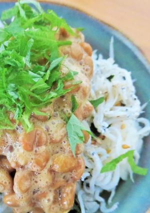 栄養満点！簡単！納豆しらす丼-レシピのメイン写真