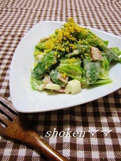 スナップエンドウとキャベツのミモザサラダ-レシピのメイン写真