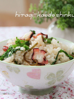 春色*菜の花とたこのシンプル炊き込みご飯-レシピのメイン写真