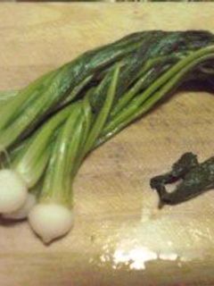レンジで簡単!小カブ菜っ葉のお浸し-レシピのメイン写真