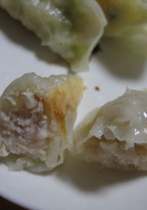 鶏もやぎょうざ-レシピのメイン写真