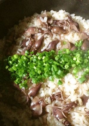 ホタルイカの炊き込みごはん-レシピのメイン写真