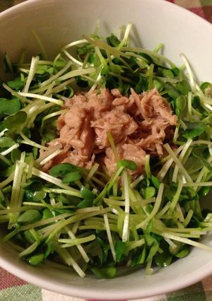 大人の⁉ツナかいわれ丼-レシピのメイン写真