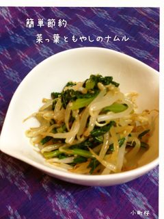 レンジで簡単節約‼菜っ葉ともやしのナムル-レシピのメイン写真