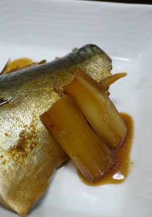 鯖の煮つけ。-レシピのメイン写真