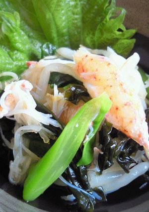 ヒガシマル粉末だしで(^皿^)簡単酢の物-レシピのメイン写真