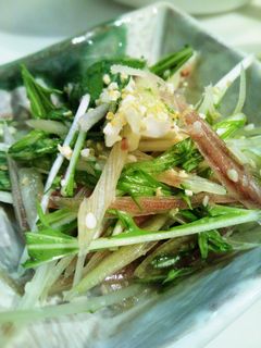 水菜とみょうがのサラダ 薬味にも-レシピのメイン写真