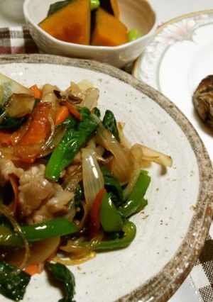 野菜たっぷり彩り春雨の炒めものっ♪-レシピのメイン写真