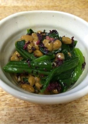 彩りおかず*ほうれん草と納豆のゆかり和え-レシピのメイン写真